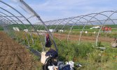 la structure en place depuis longtemps